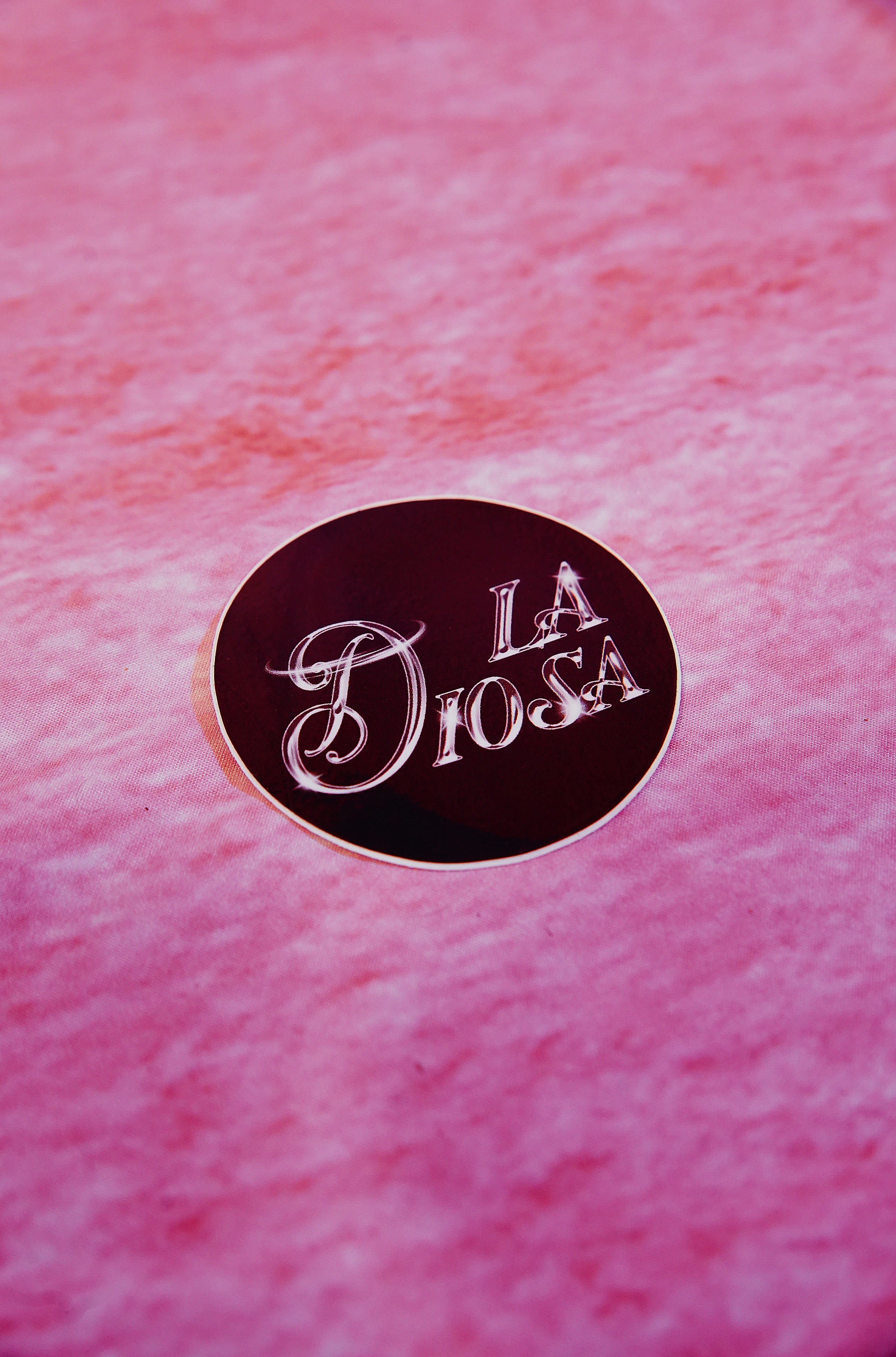 DJ DIOSA Logo Sticker